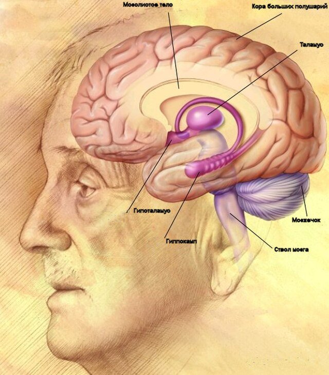10 Surprising Psychology Facts That Will Change How You Think