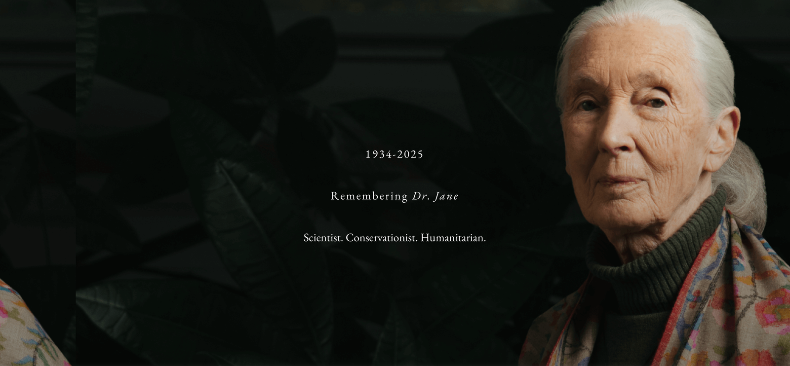 Remembering Dr. Jane Goodall: The Woman Who Taught the World About Chimpanzees and Ourselves
