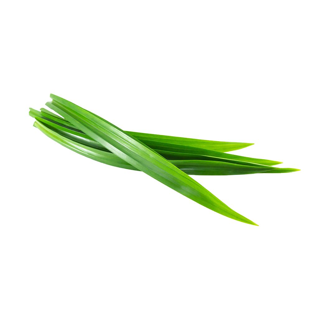 Fresh pandan leaves used for flavoring and aroma in sweets like Num Wan