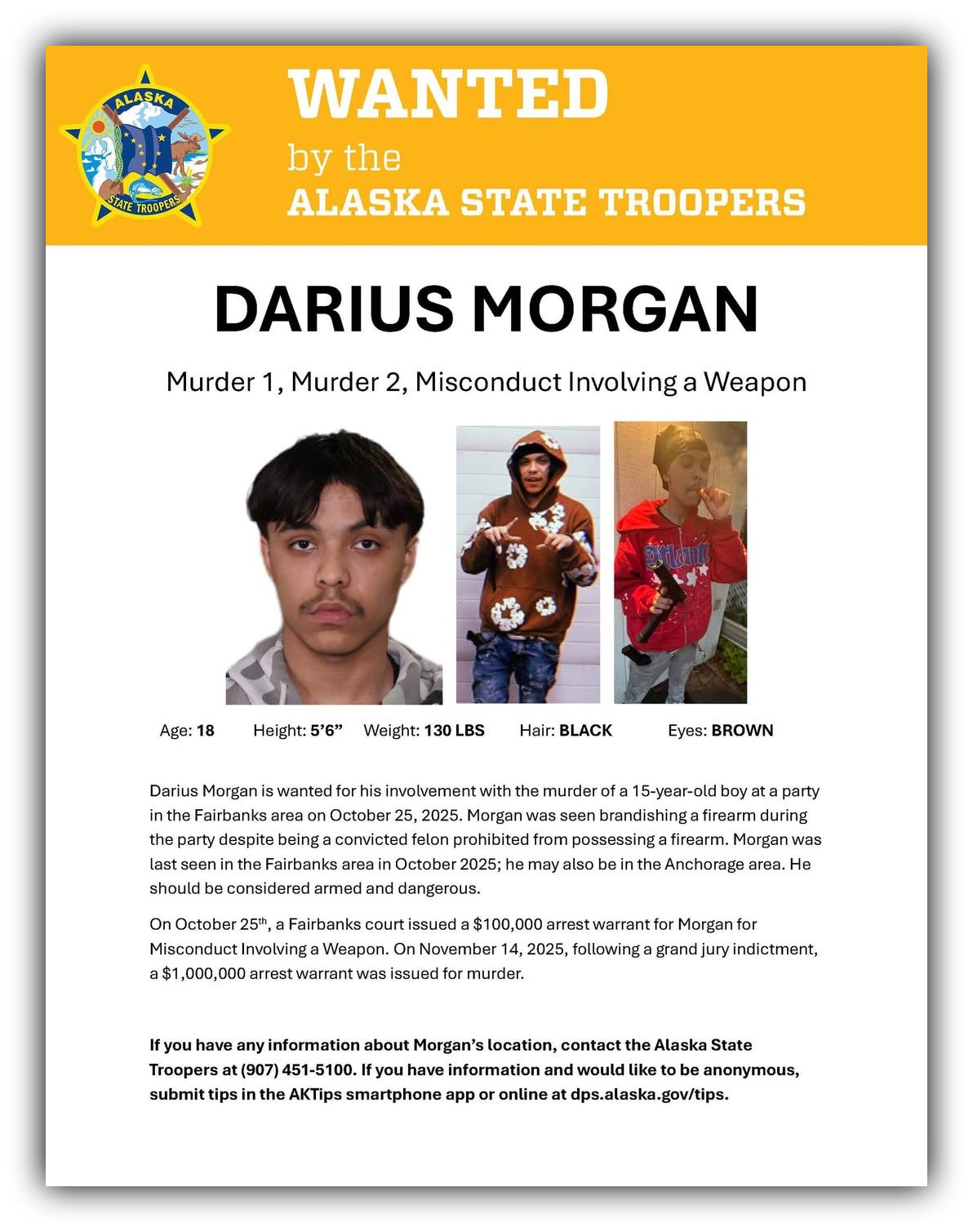 🟦 Alaska Public Safety Dashboard: November 1 – 15, 2025