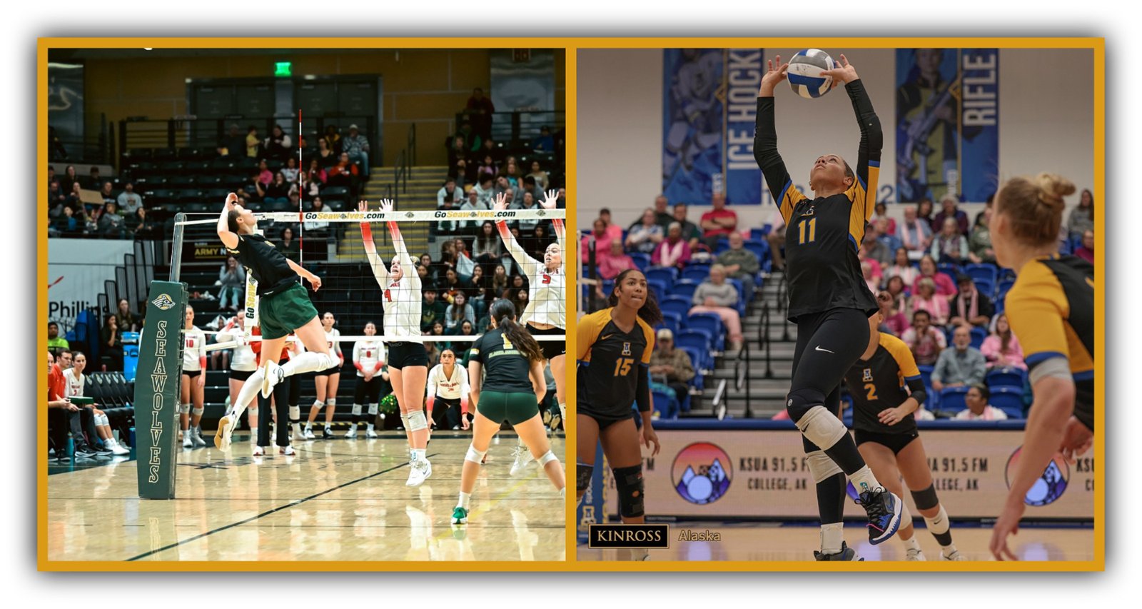 Seawolves & Nanooks on the March: Alaska College Women’s Volleyball Eyes Postseason Glory