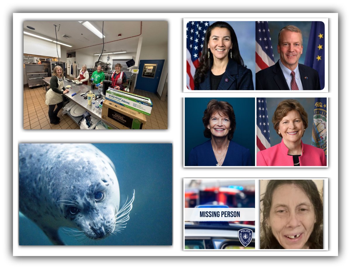 From Avalanches to Ballots: Your Alaska News Roundup