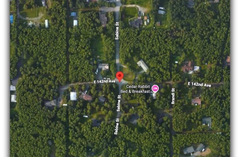 Brown Bear Search Underway Near 142nd Avenue